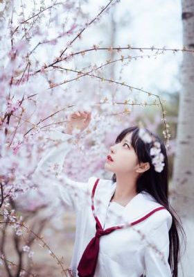 长歌行 电视剧